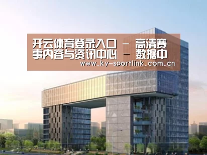 案例展示四