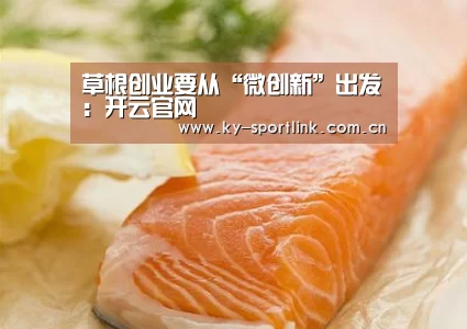 草根创业要从“微创新”出发:开云官网(图3) 草根创业要从“微创新”出发:开云官网(图3)